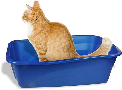 large cat litter tray